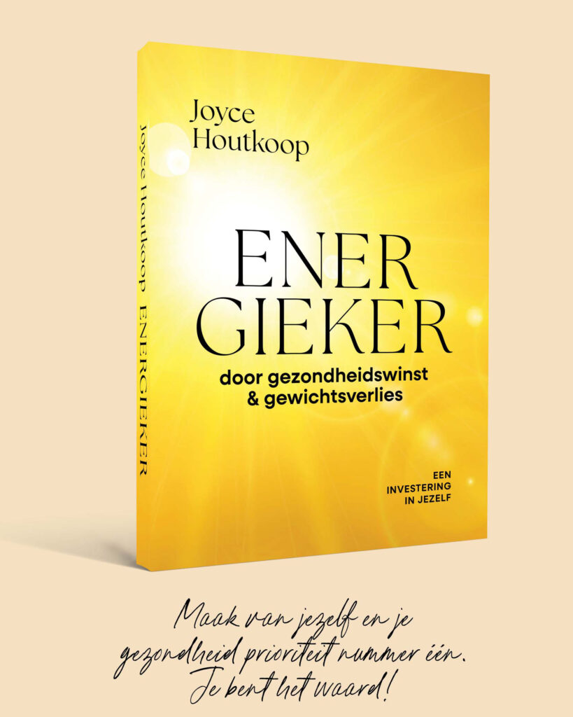 Kaft van boek Energieker